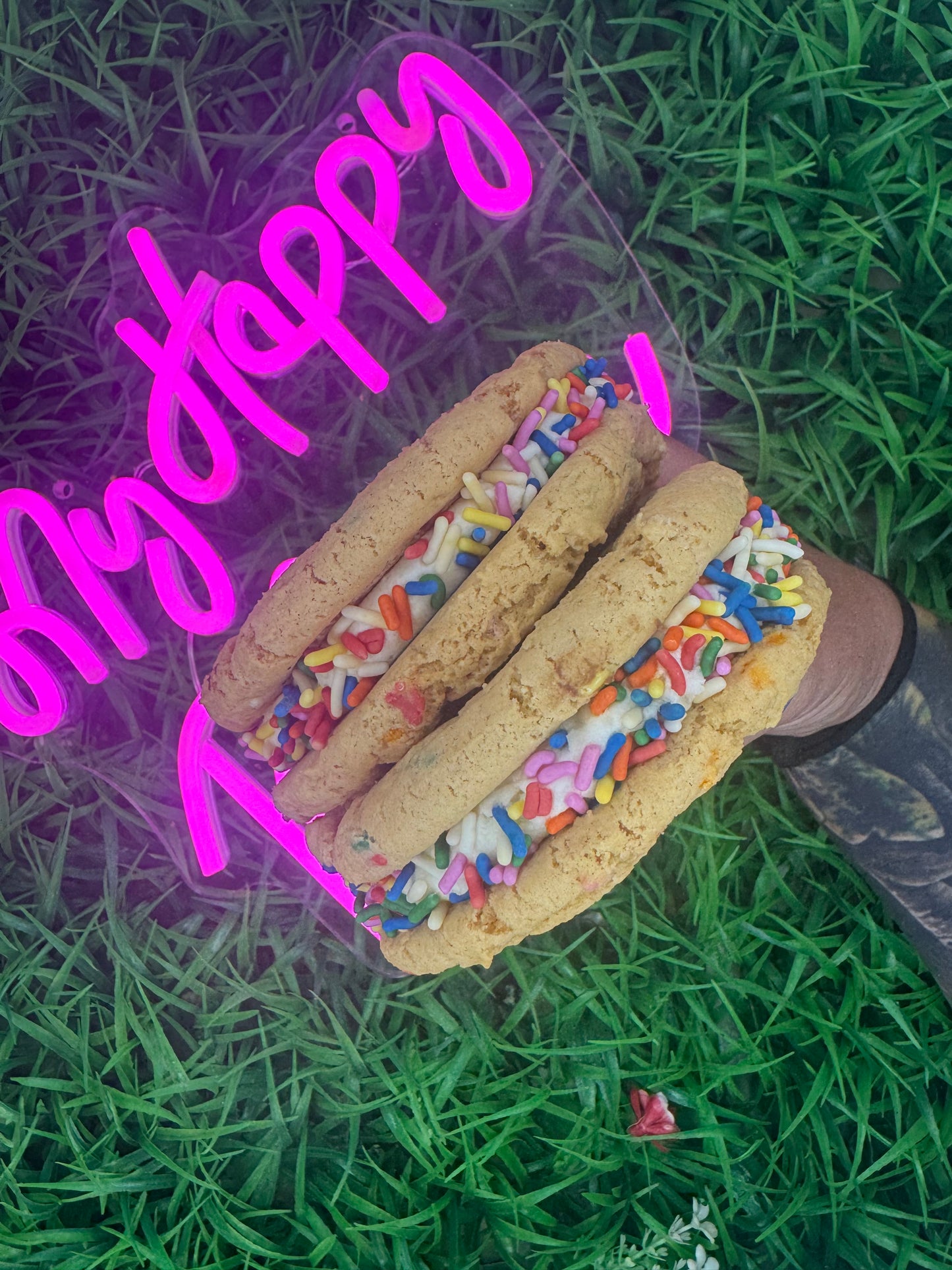 Vegan Rainbow Sammie